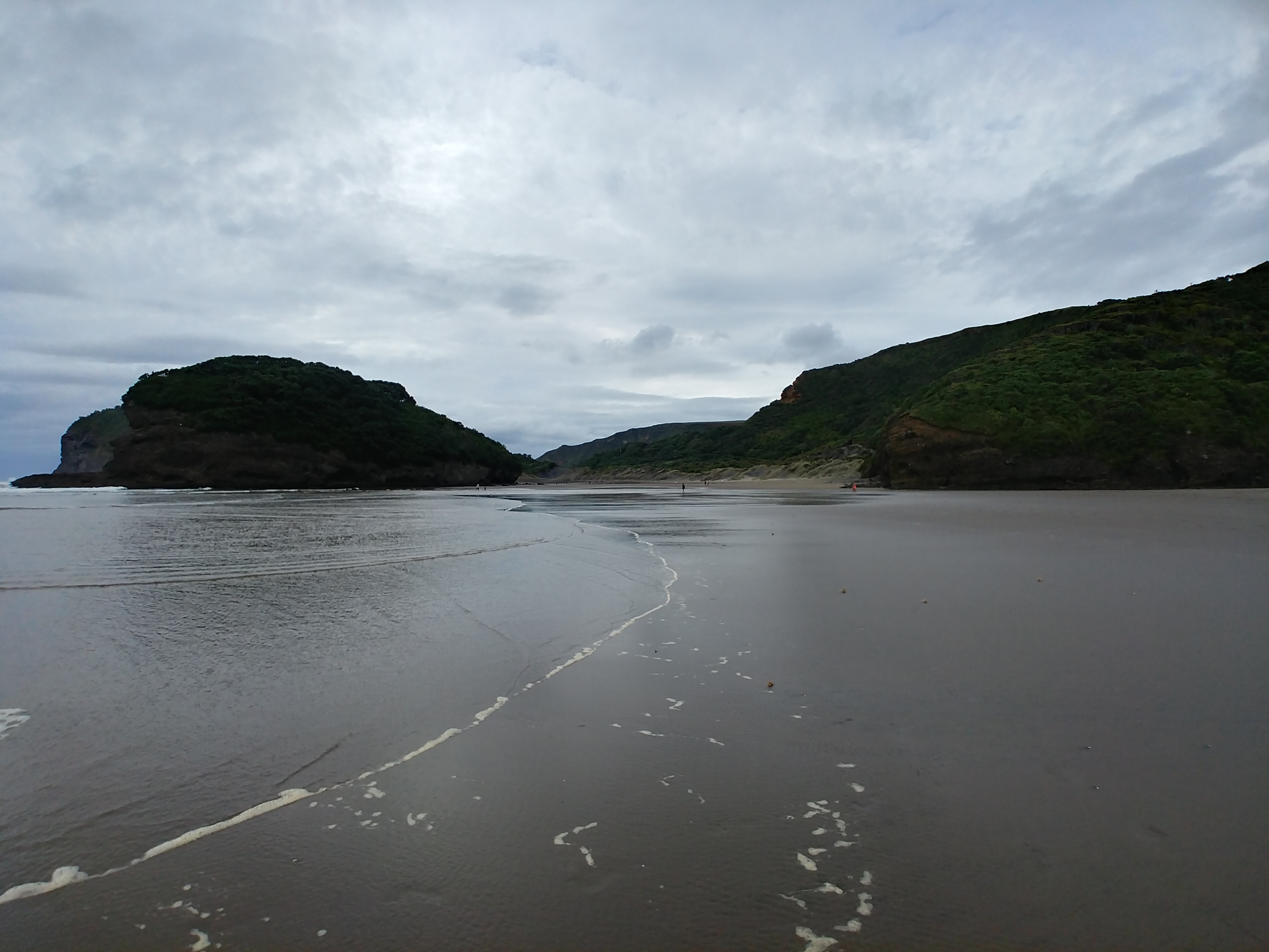 Te Henga