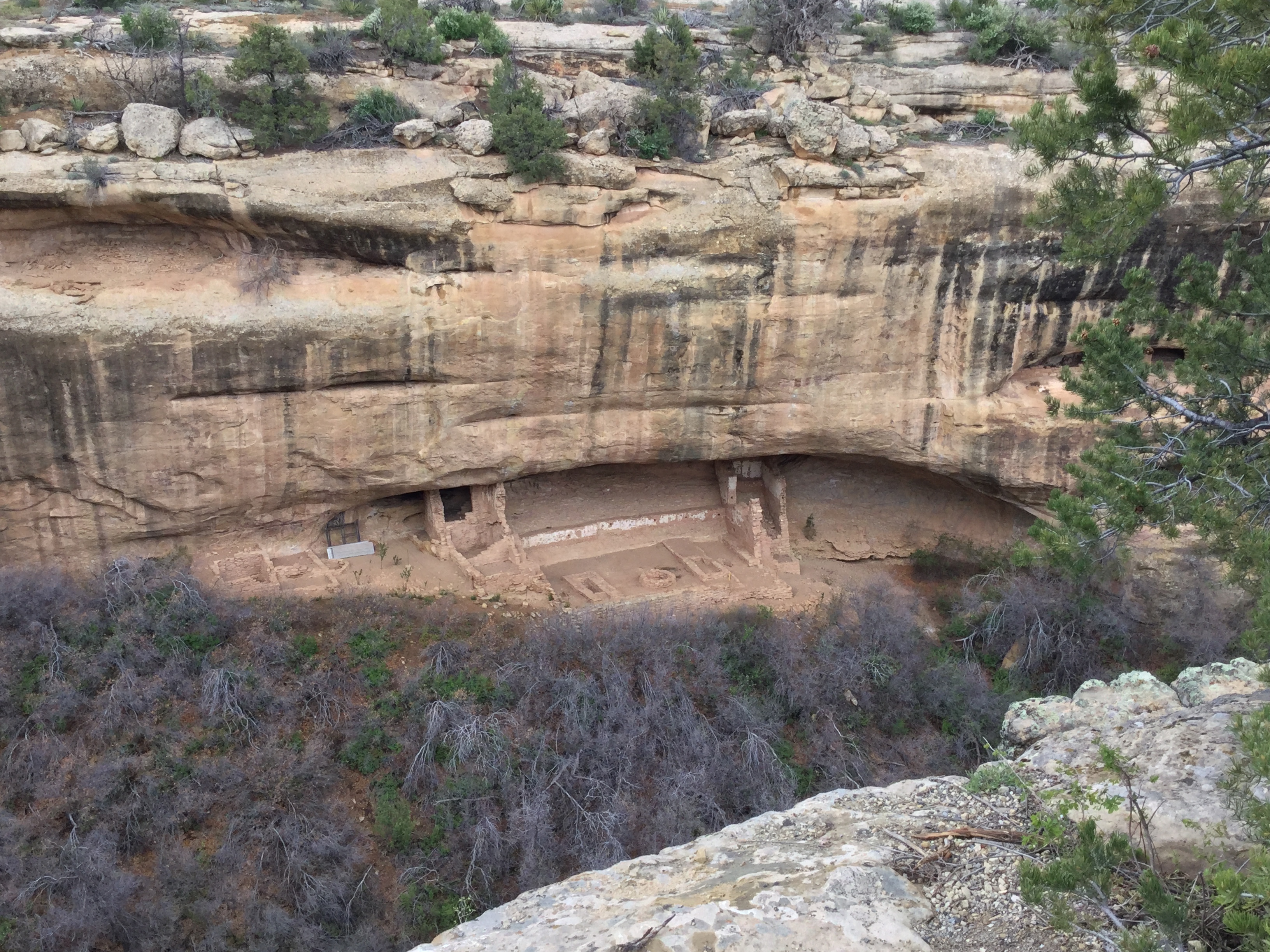 Mesa Verde