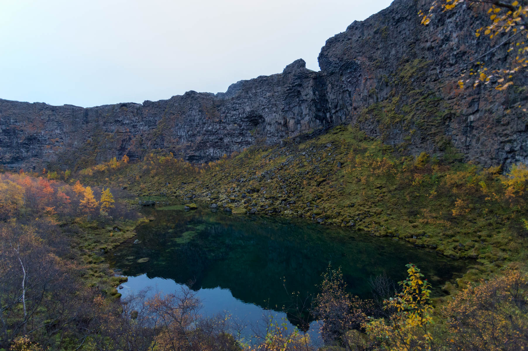 Asbyrgi Canyon