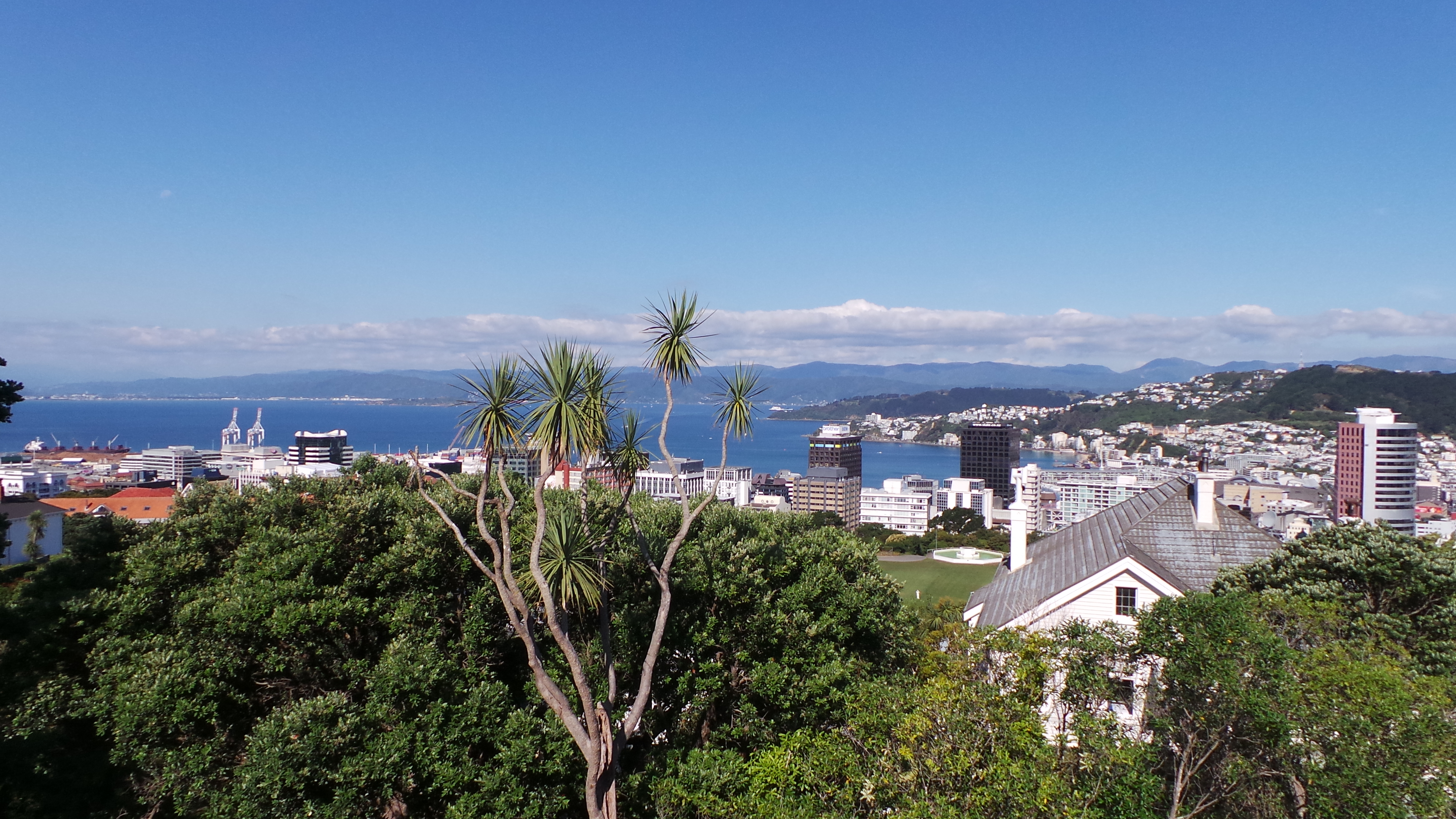 Wellington