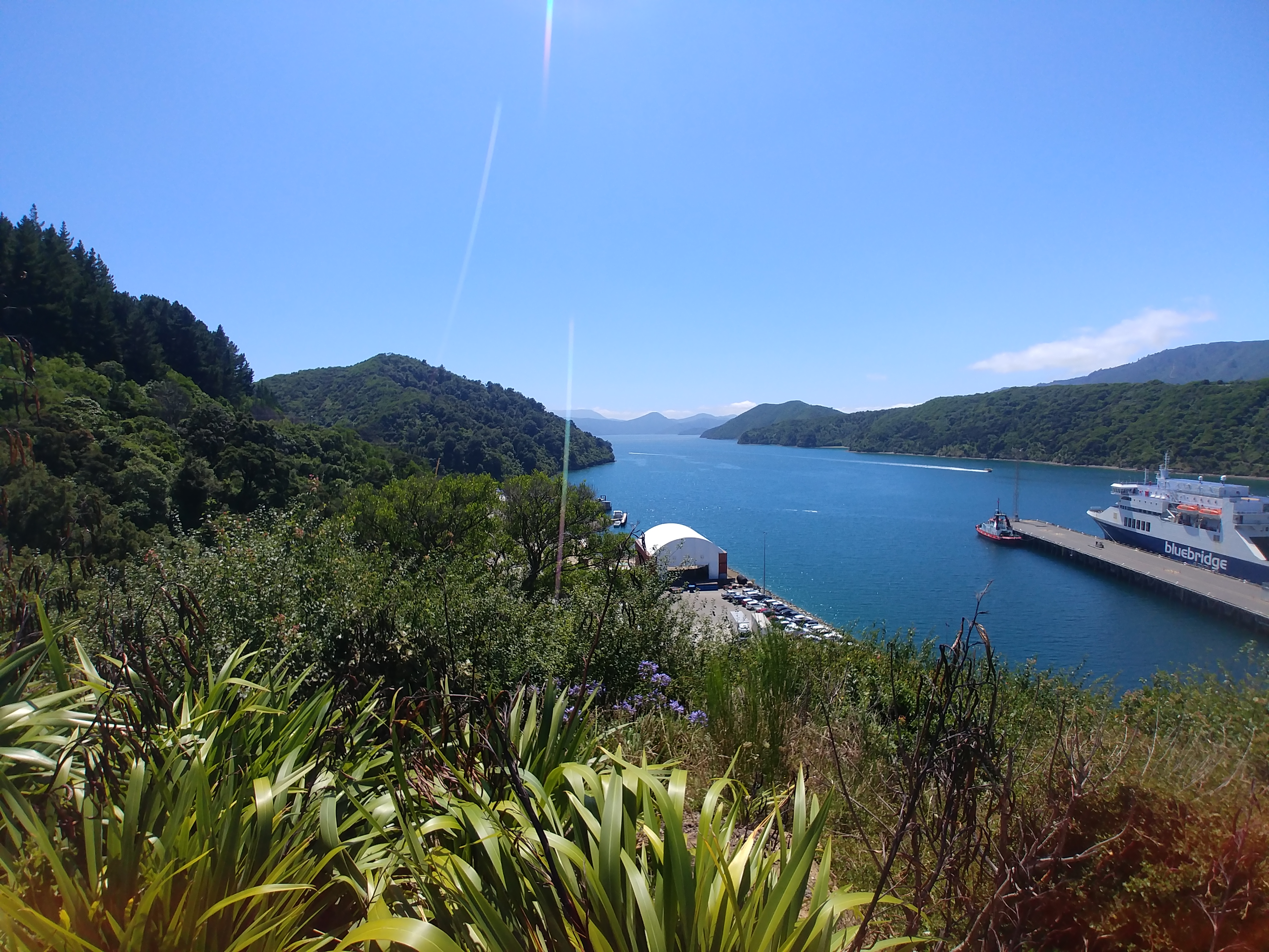 Picton