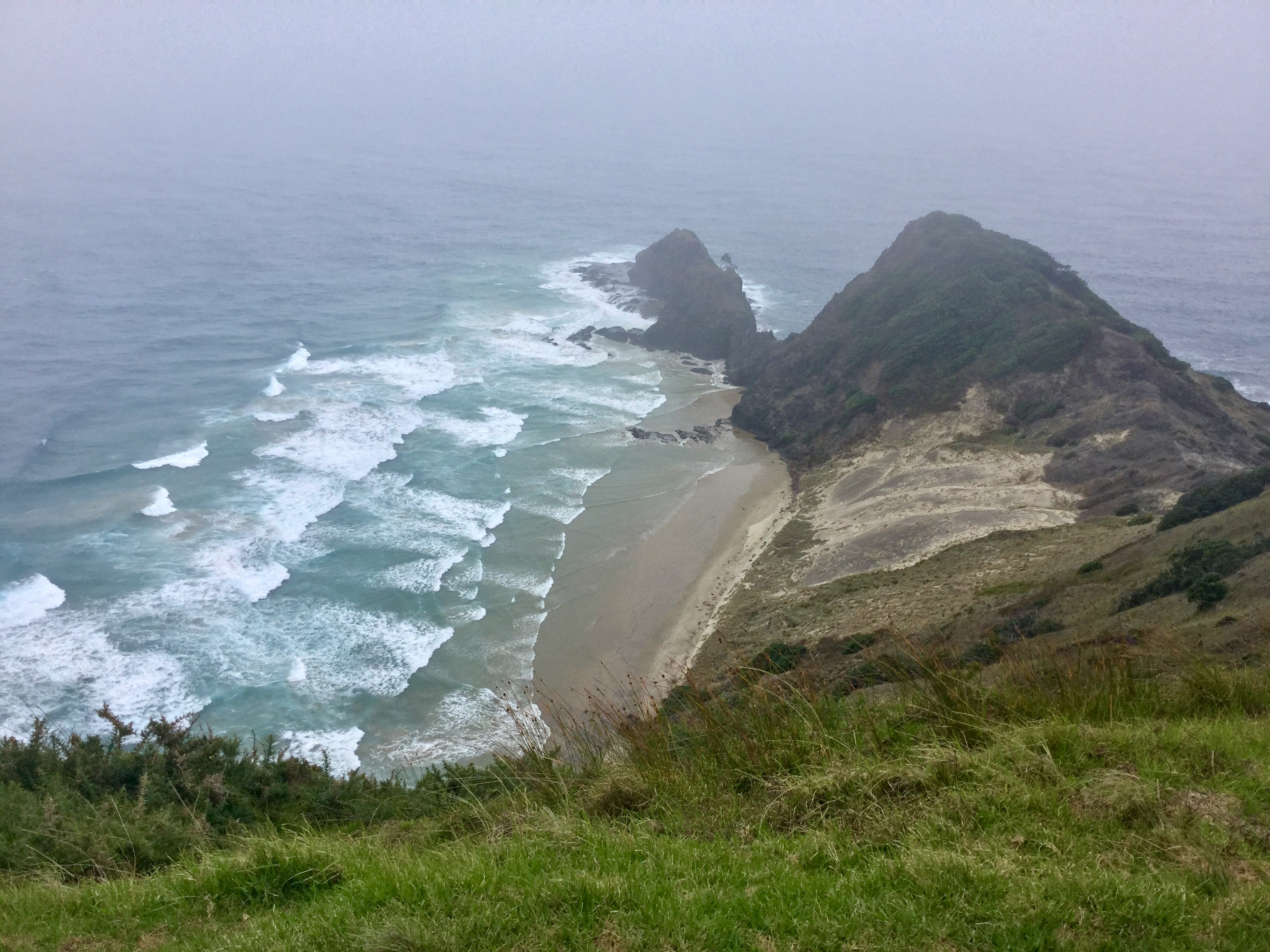 Cap Reinga et Waipoua Forest