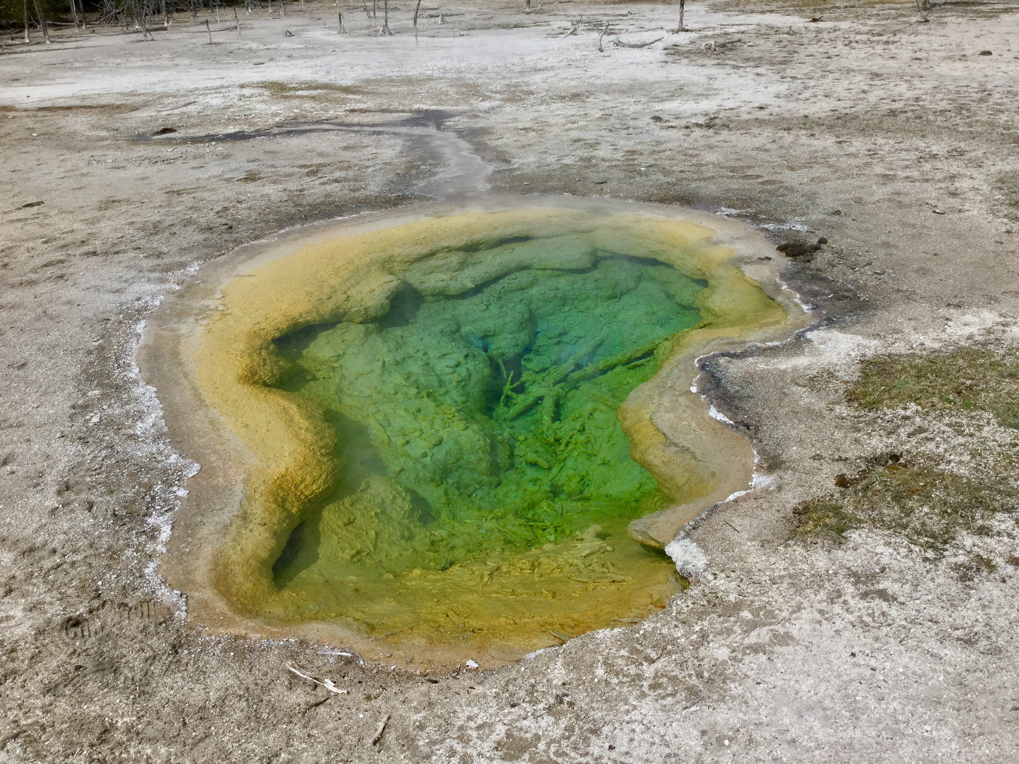 Yellowstone