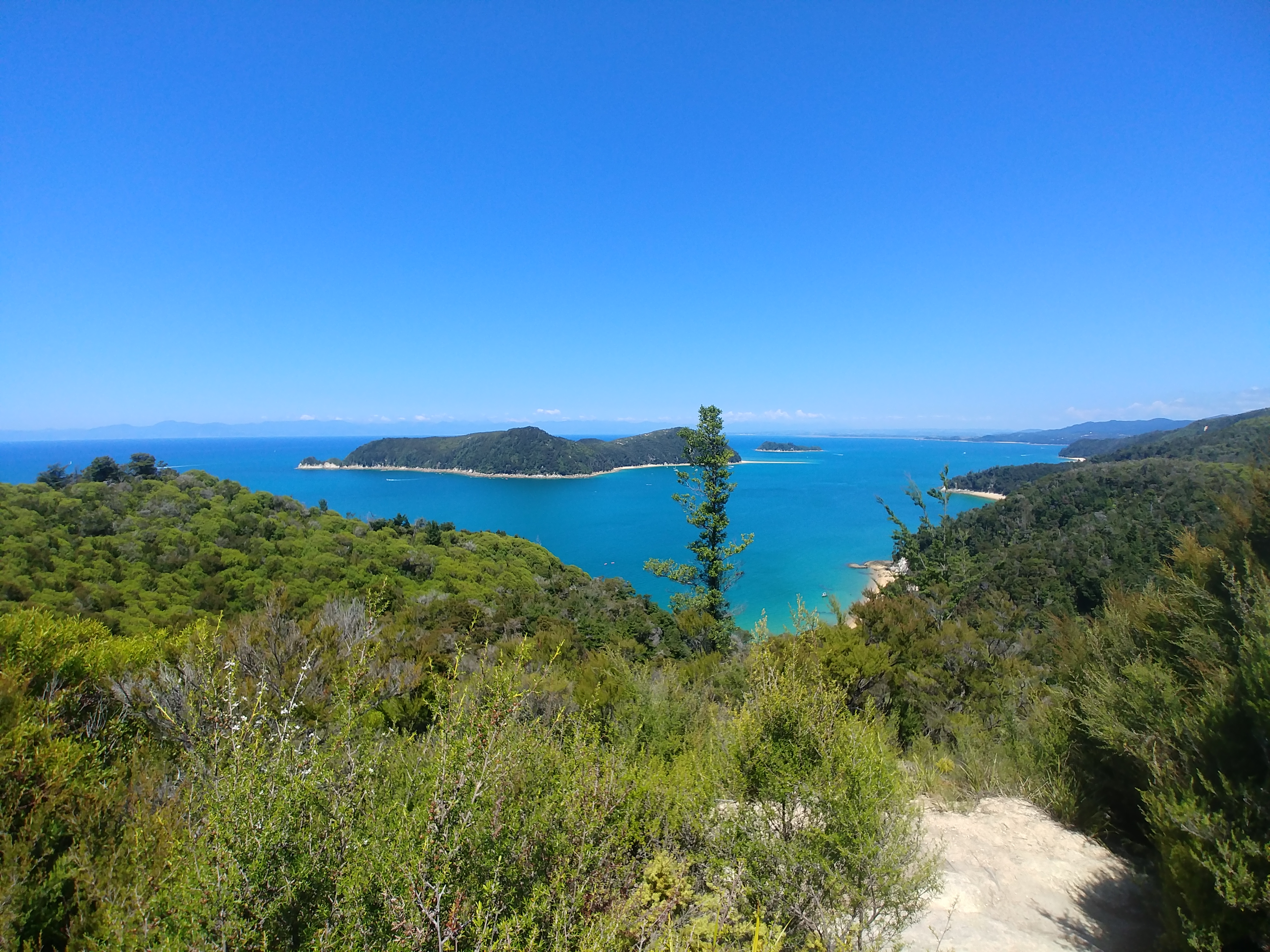 Abel Tasman