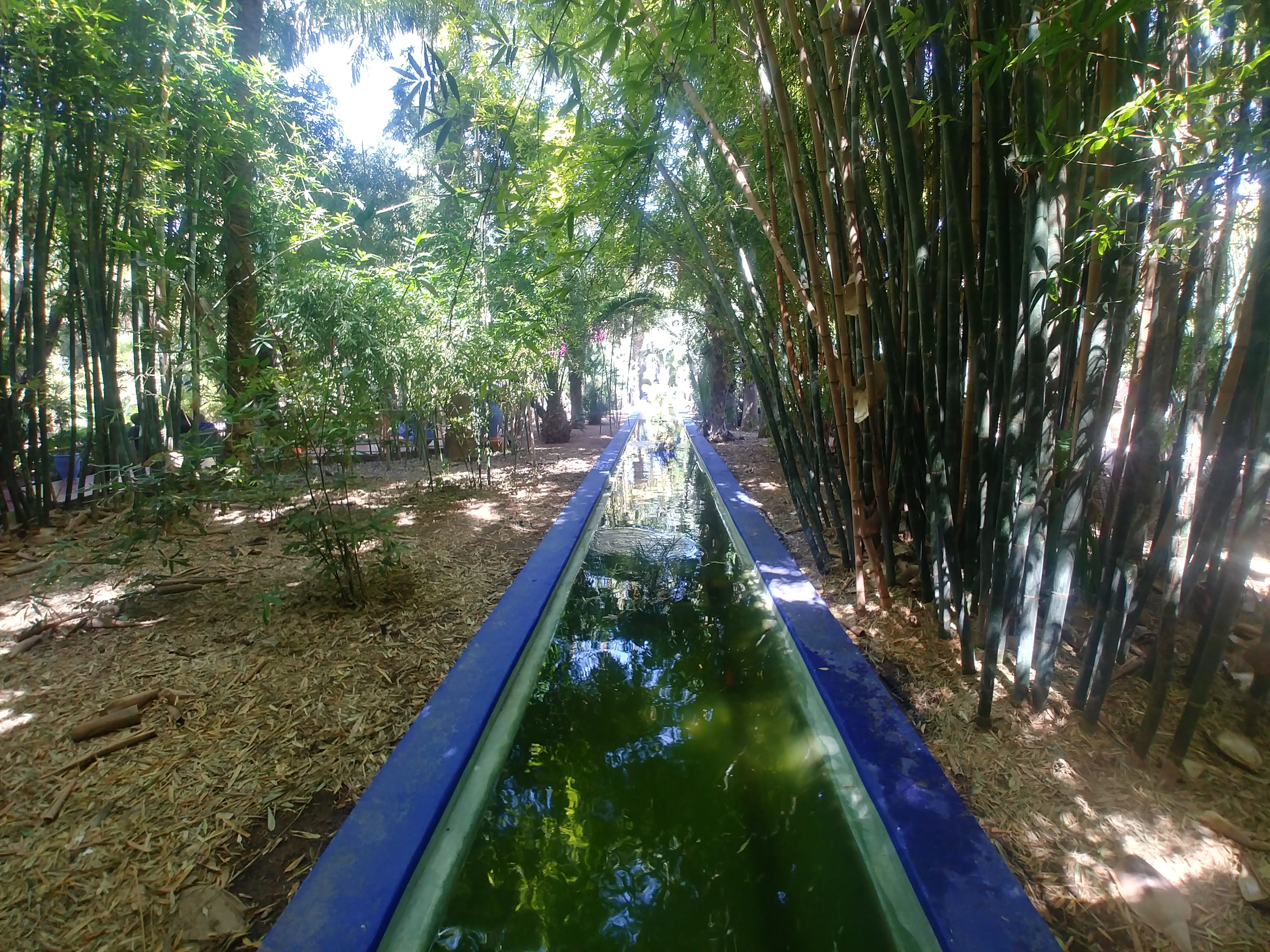 Hors de la médina