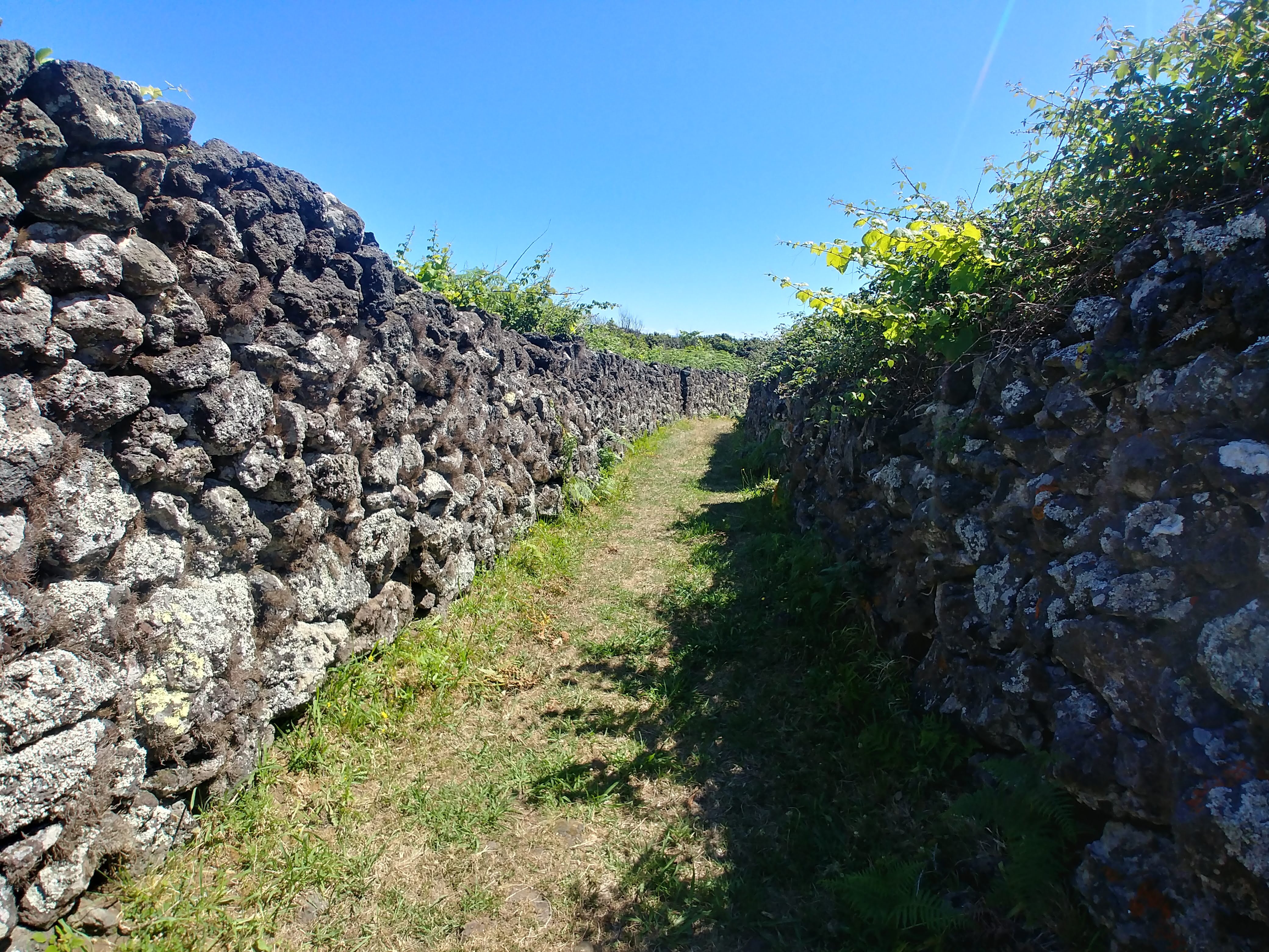 Baia da Folga