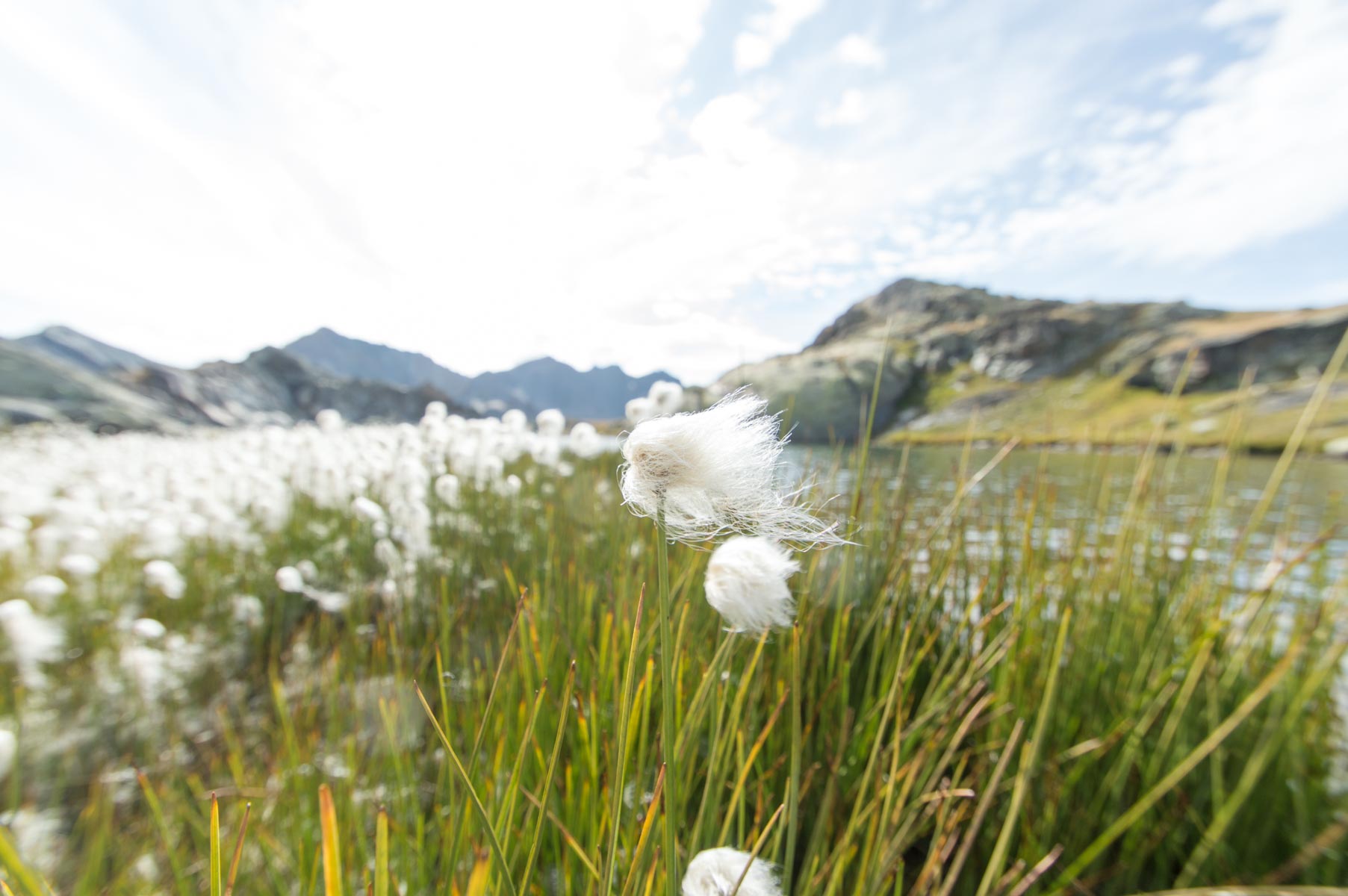 Les lacs Blanchet
