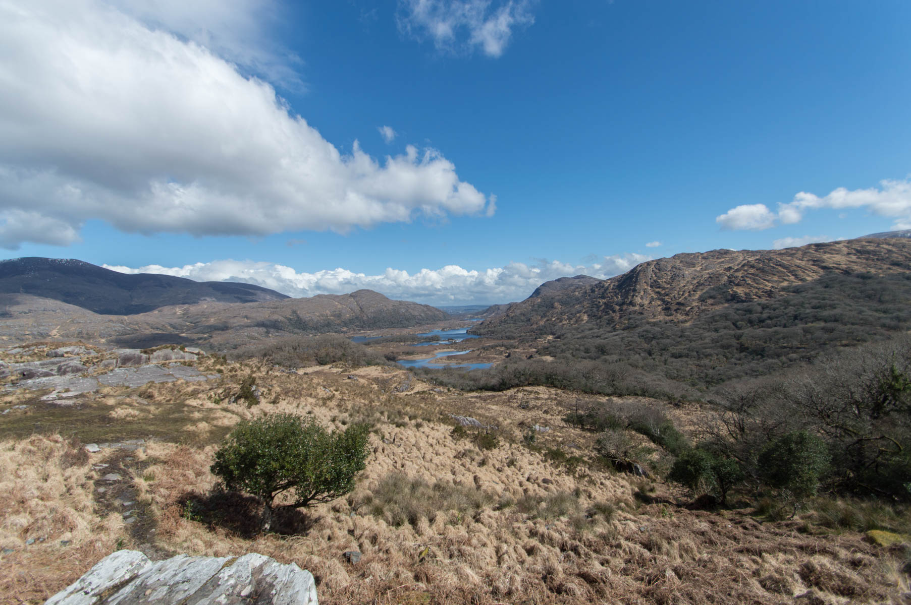 Kerry