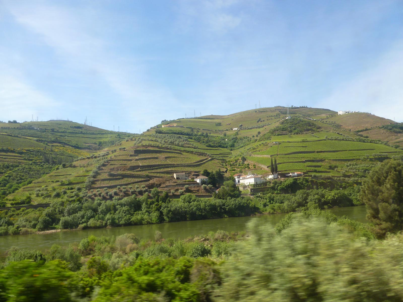 Pinhão