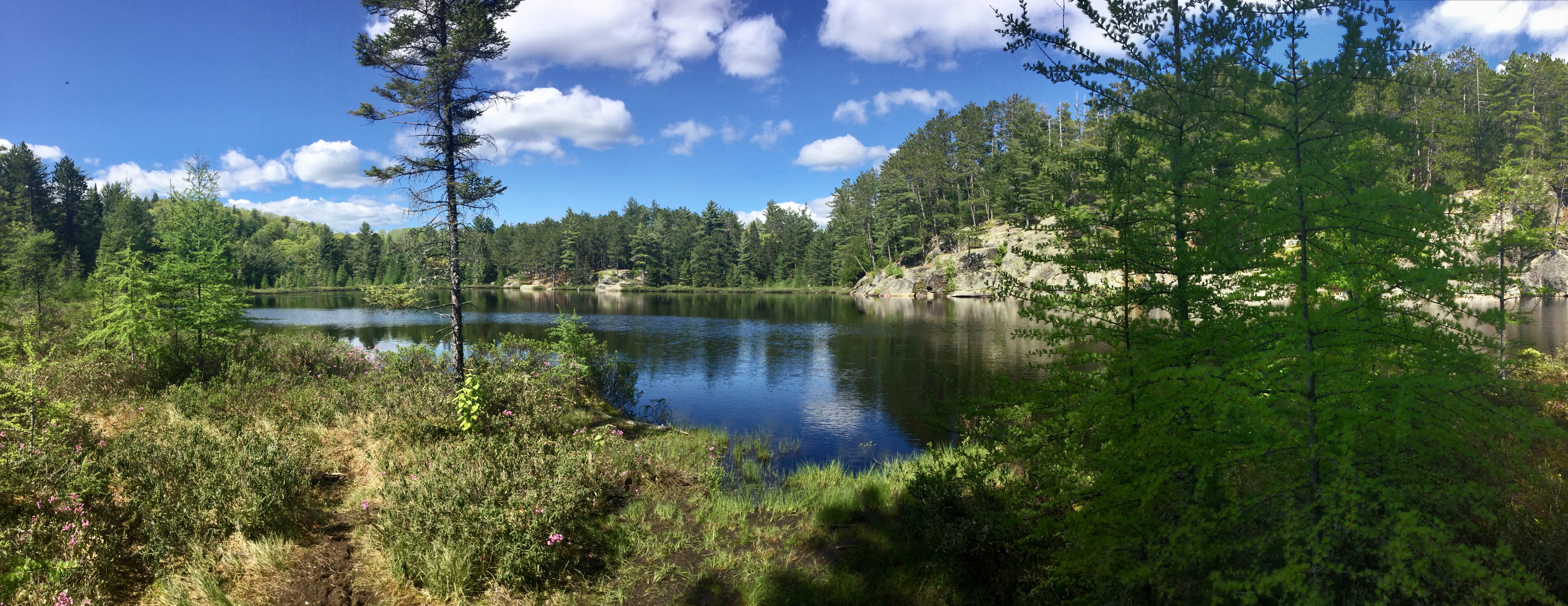 Le parc Algonquin